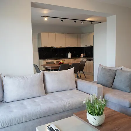 Aifantis 2 *